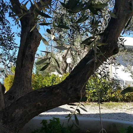 Repraesentative Zwei Mit Veranda Und Garten *